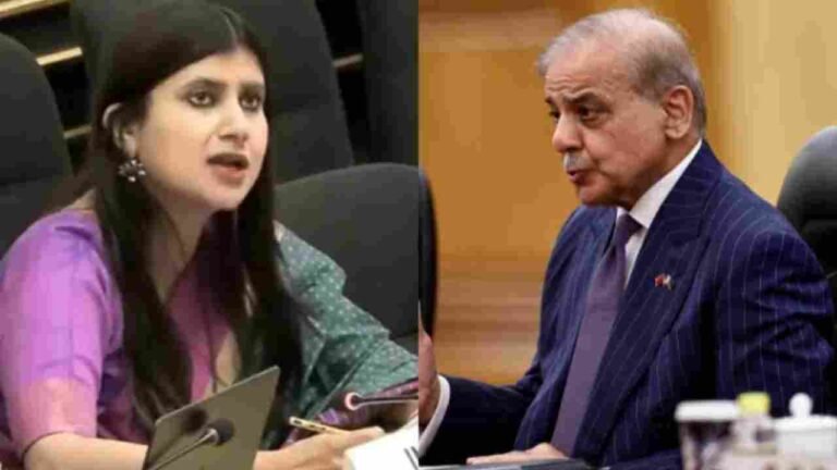 India Slams Pakistan at UN Over Terrorism Remarks