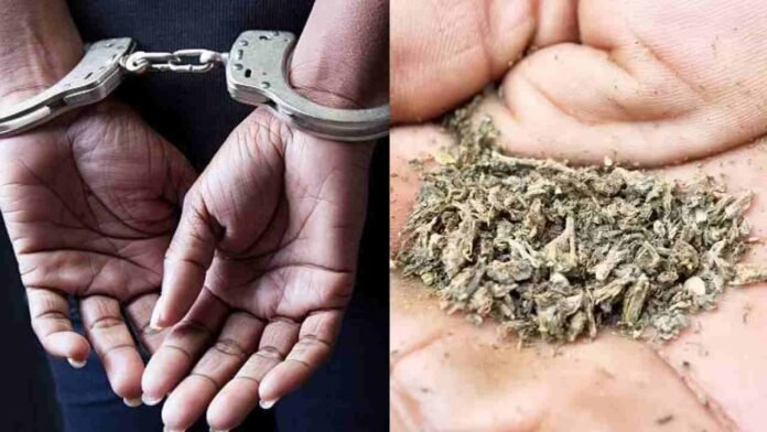 Police Raid Ganja Party: Ayurvedic Doctor Arrested