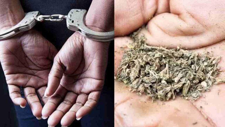 Police Raid Ganja Party: Ayurvedic Doctor Arrested