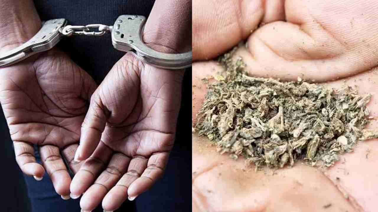 Police Raid Ganja Party: Ayurvedic Doctor Arrested