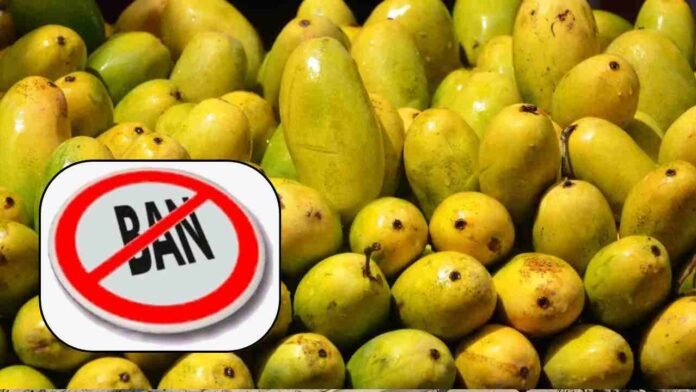 In A U-Turn, Nepal Says No Ban On Import Of Indian Mangoes