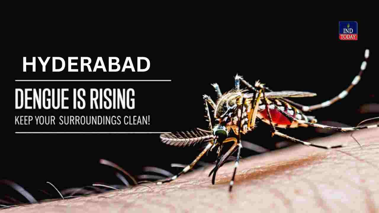 Hyderabad Dengue Alert as Early Surge Threat Looms