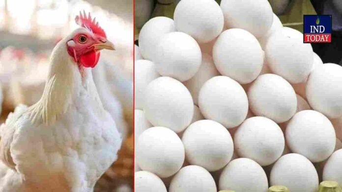 Chicken And Egg Prices Surge In Telugu States