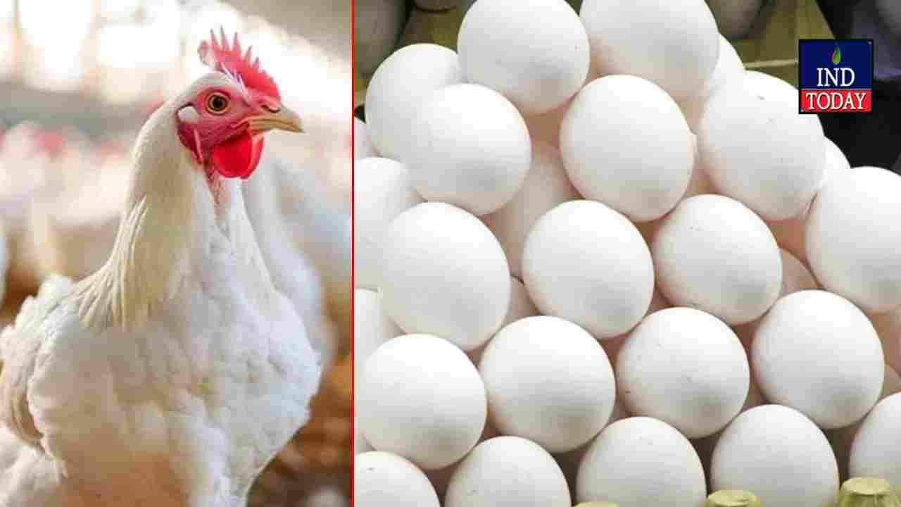 Chicken And Egg Prices Surge In Telugu States