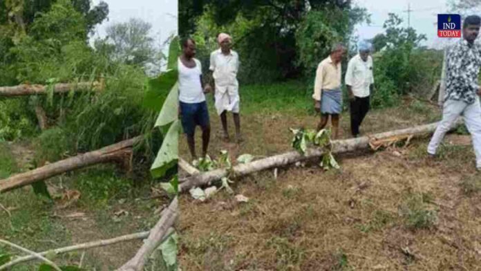 Farmers Allege Illegal Felling Of 18 Teak Trees In Nagarkurnool