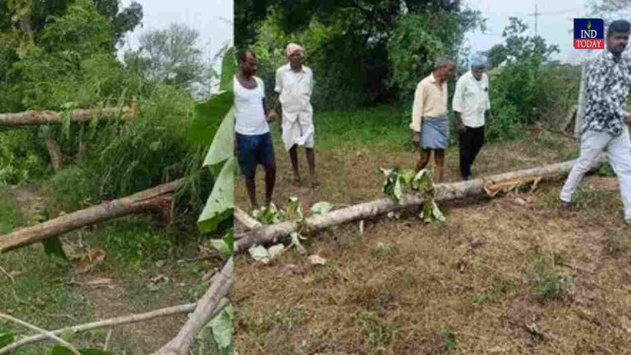 Farmers Allege Illegal Felling Of 18 Teak Trees In Nagarkurnool