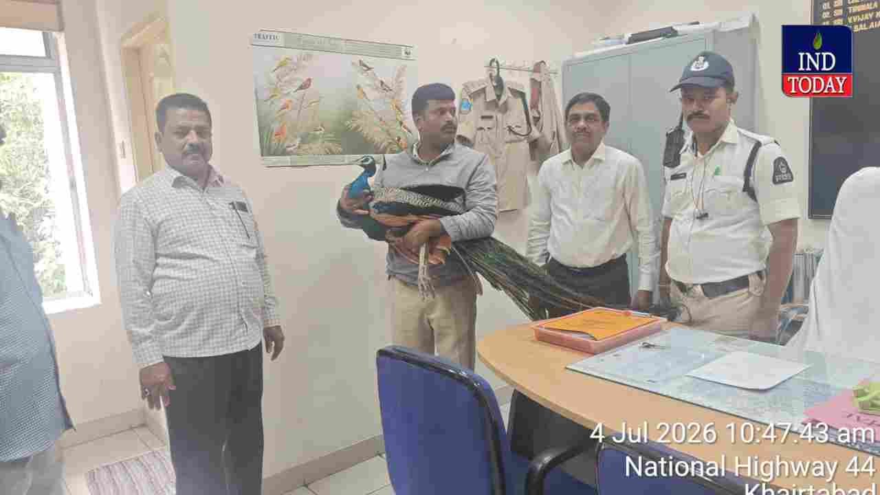 Hyderabad Traffic Police Review Bonalu Arrangements, Rescue Peacock