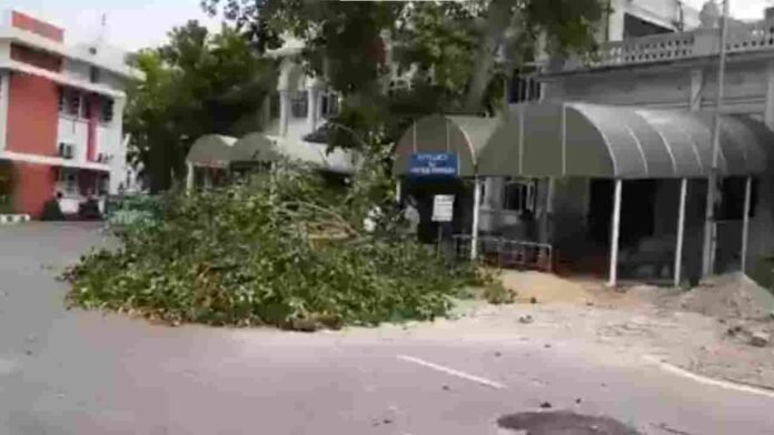 Hyderabad Strong Winds Uproot Tree At Telangana Assembly, Major Mishap Averted