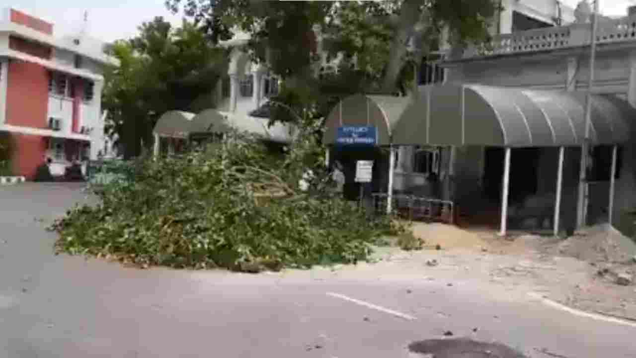 Hyderabad Strong Winds Uproot Tree At Telangana Assembly, Major Mishap Averted