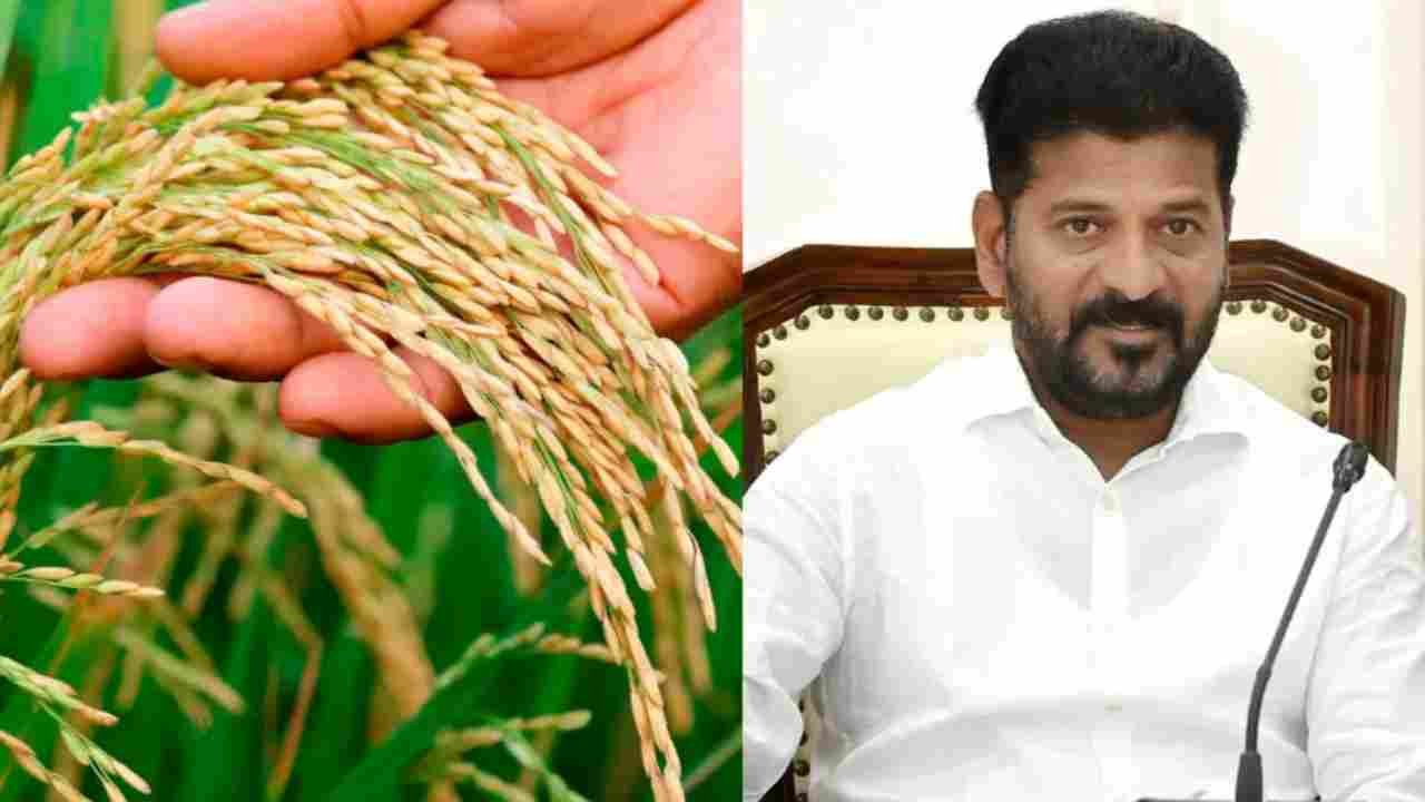 Telangana Bonus For Paddy Linked To Seven Approved Rice Varieties