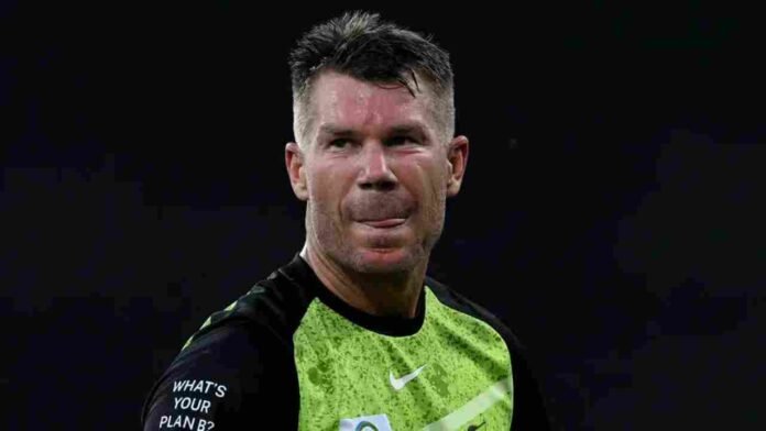 David Warner Pleads Guilty in Drink Driving Case