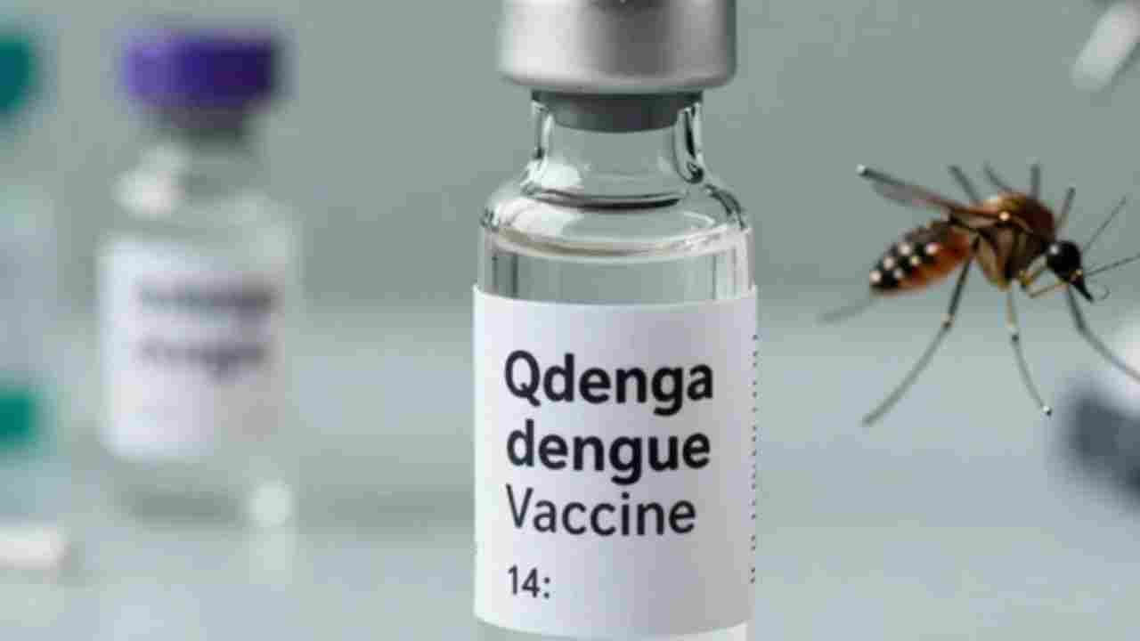 India Approves First Dengue Vaccine QDENGA