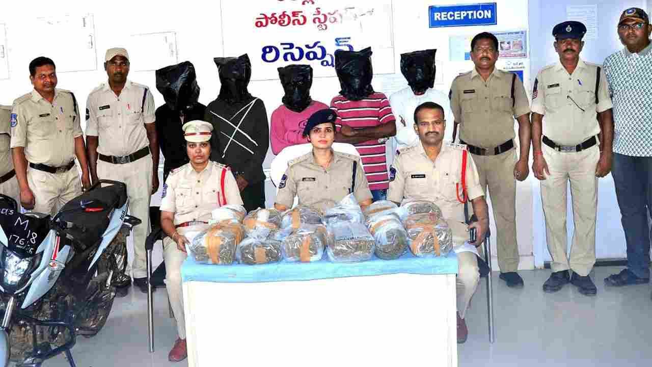 Five Member Gang Held With 23.1 Kg Ganja Worth Rs. 11.55 Lakh In Khammam