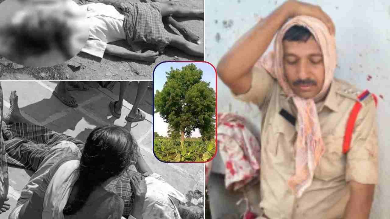 Neem Tree Dispute Claims Two Lives in Suryapet