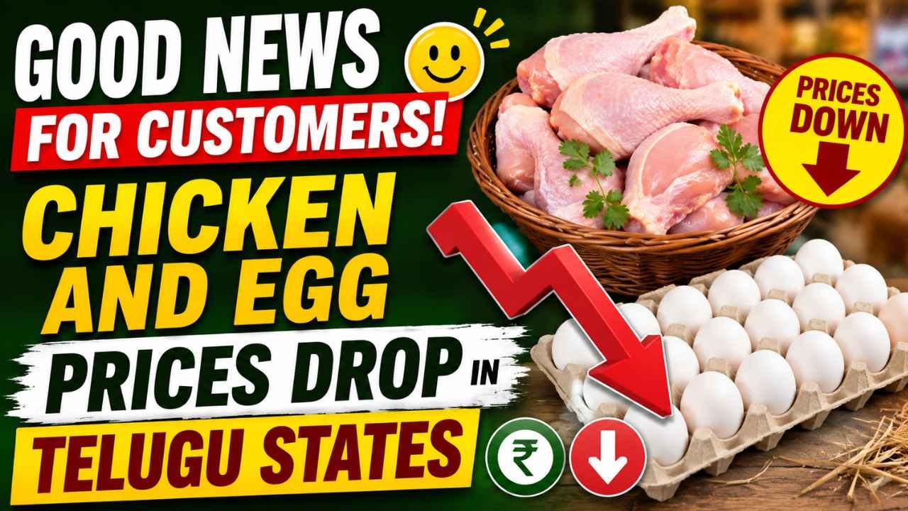 Good News For Customers: Chicken And Egg Prices Drop In Telugu States
