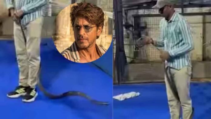 WATCH: 8-Foot Snake Rescued From Shah Rukh Khan’s Mannat