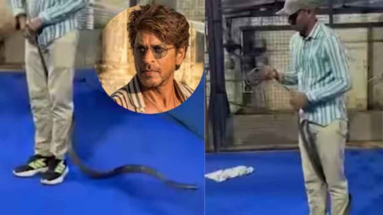 WATCH: 8-Foot Snake Rescued From Shah Rukh Khan’s Mannat