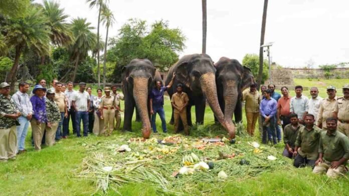 World Elephant Day 2026 celebrated at Hyderabad Zoo