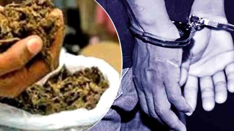 Eagle Force Busts Interstate Ganja Network, Three Arrested