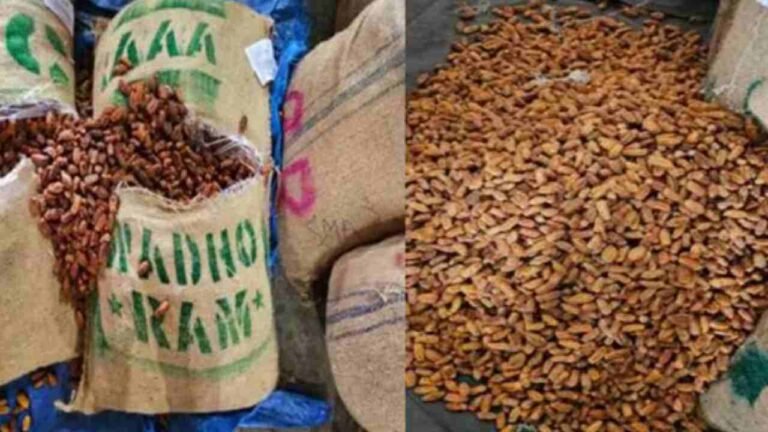 Seizure Of 362 Metric Tons Of Dried Dates Smuggled From Pakistan
