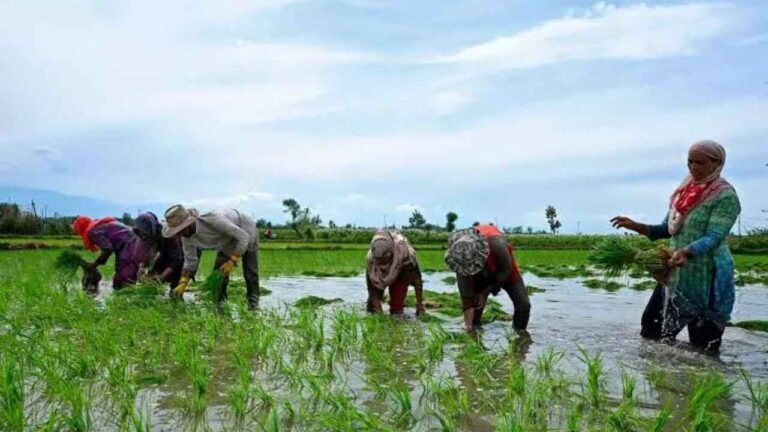 Farmers Show Interest in Farm Ponds In Karimnagar