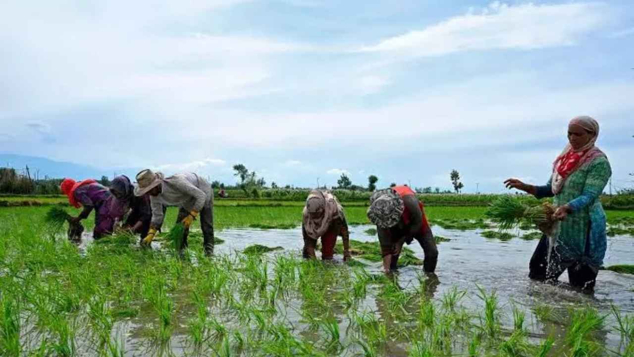 Farmers Show Interest in Farm Ponds In Karimnagar