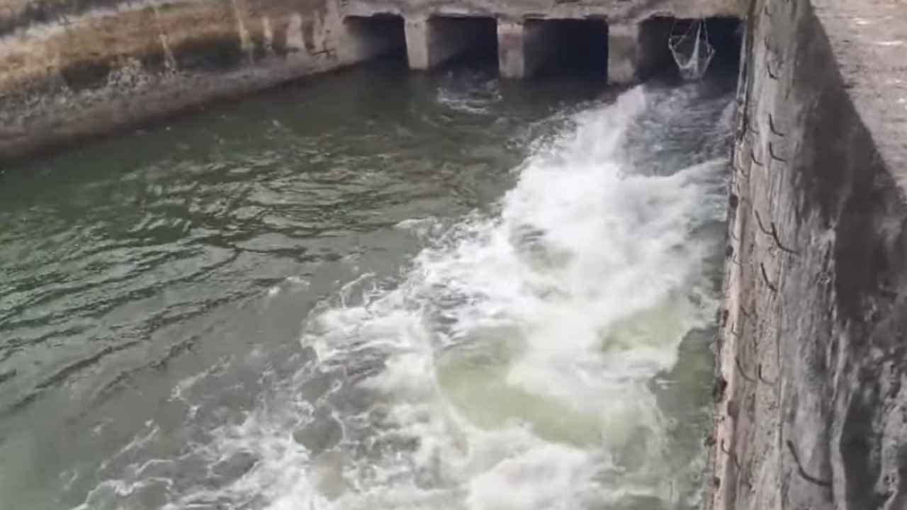 Jurala Water Release: Irrigation Water Released for Farmers