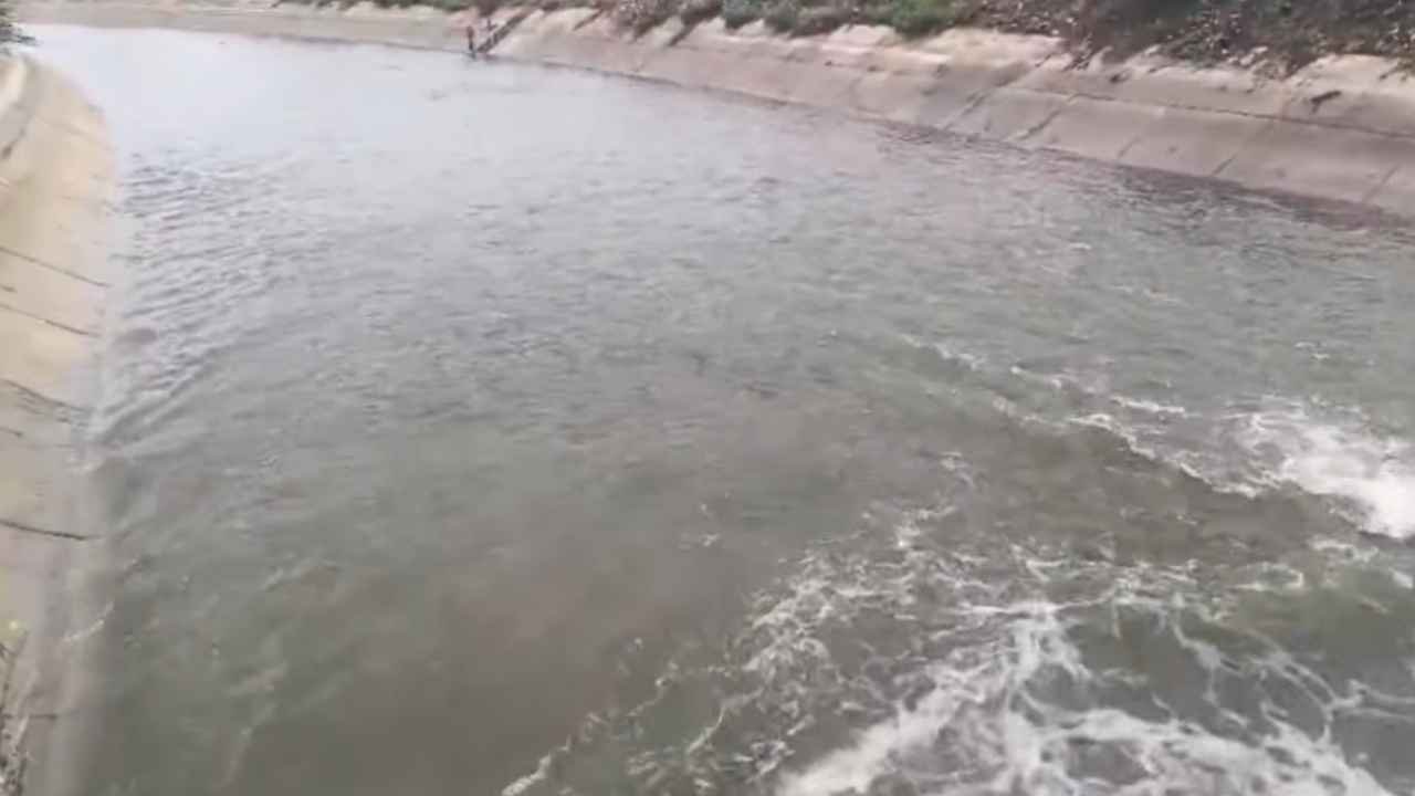 Jurala Water Release: Irrigation Water Released for Farmers
