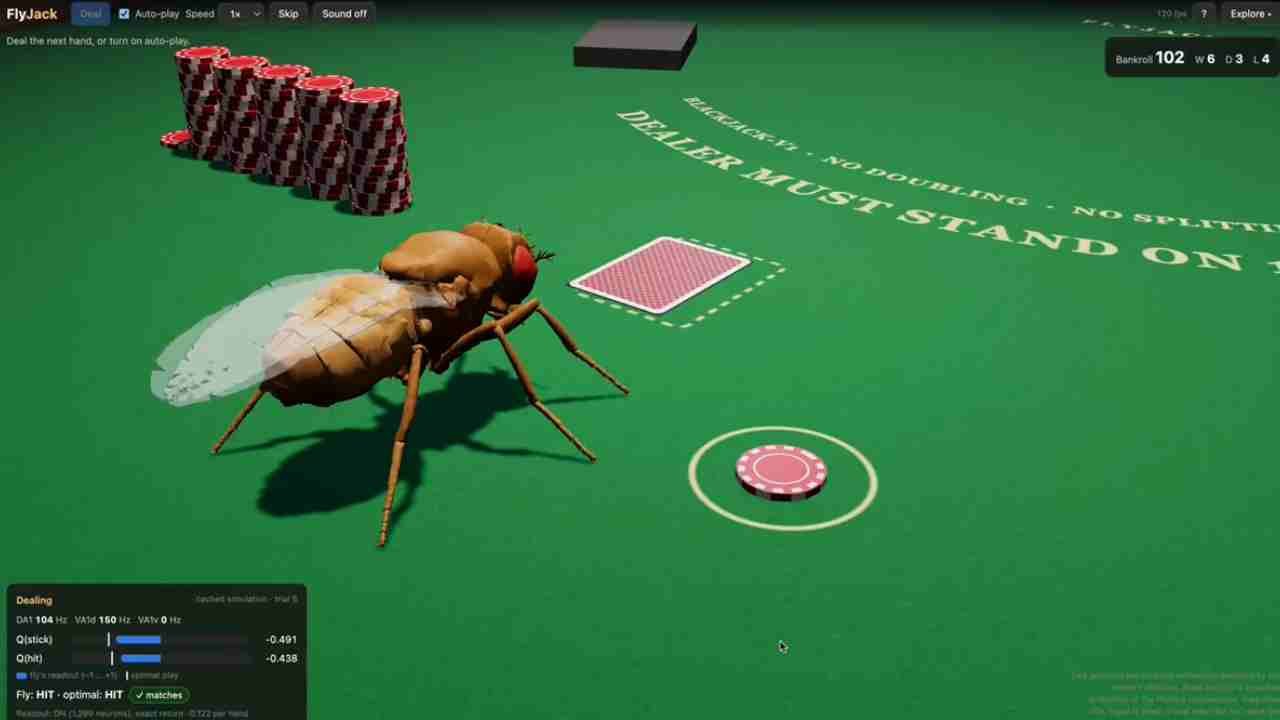 Fruit Fly Brain Map Powers Robots and Games