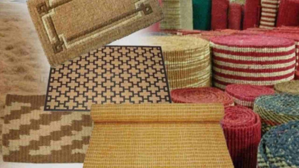 Coir Exports Surge 305%: Shocking Growth Skyrockets Industry