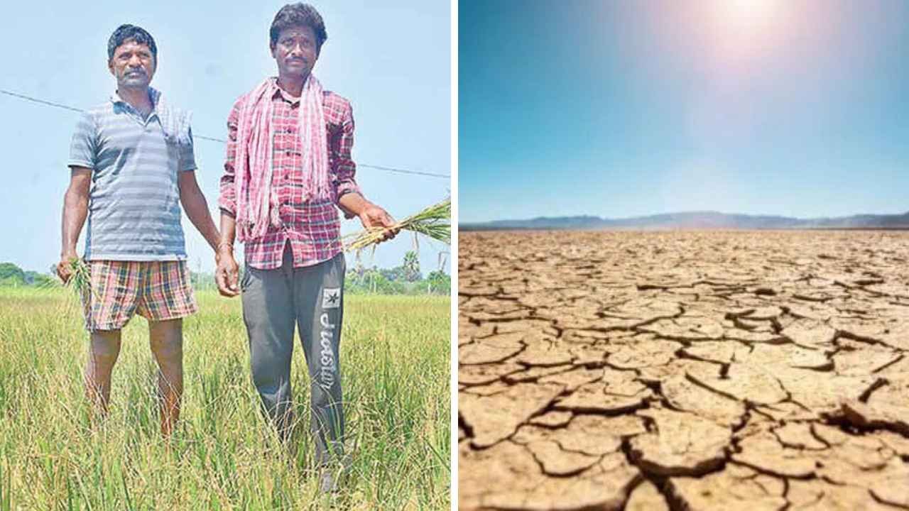 Telangana Government Identifies 320 Mandals As Drought Hit