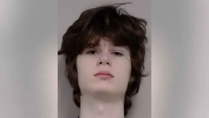 Hindu Temple Shooting Plot: US Teen Arrested