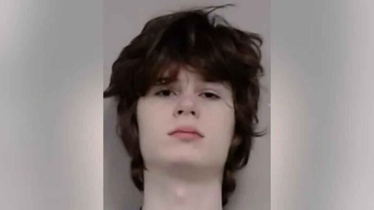 Hindu Temple Shooting Plot: US Teen Arrested