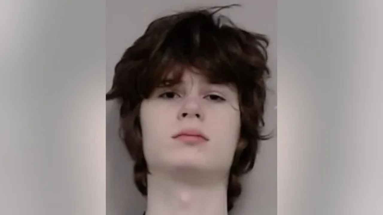Hindu Temple Shooting Plot: US Teen Arrested
