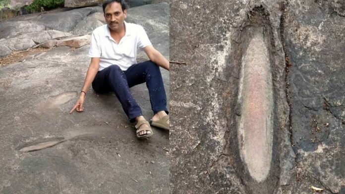 Chilkur Mrugavani National Park: Prehistoric Traces Found