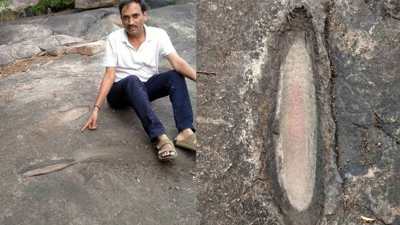 Chilkur Mrugavani National Park: Prehistoric Traces Found