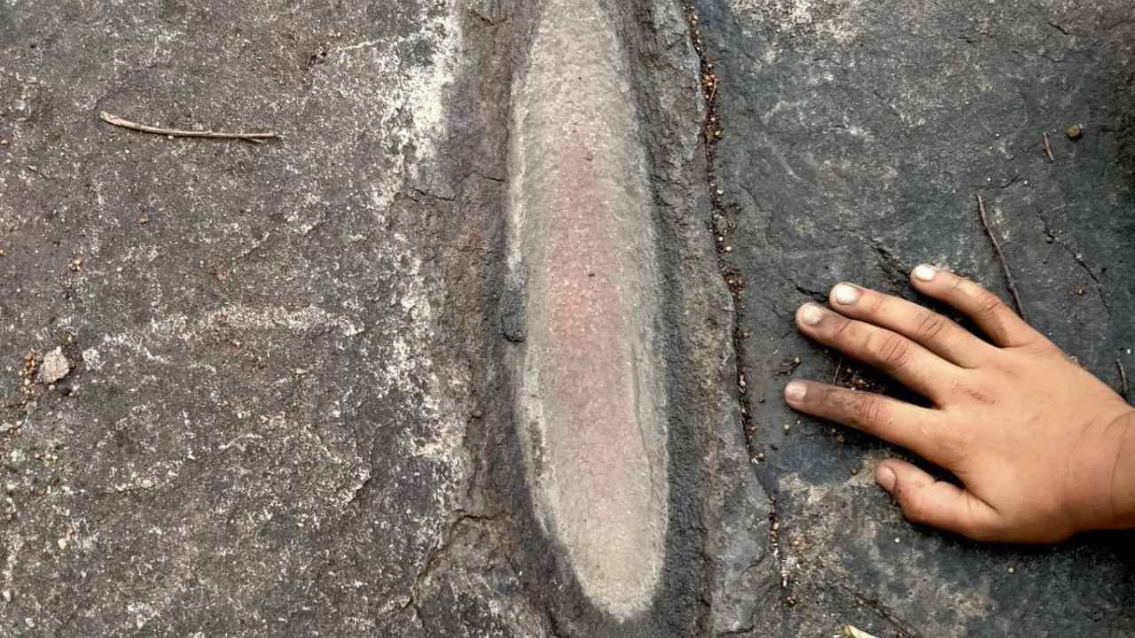 Chilkur Mrugavani National Park: Prehistoric Traces Found