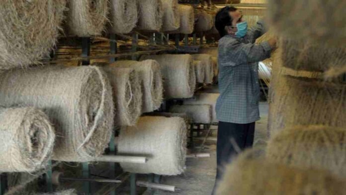 Coir Exports Surge 305%: Shocking Growth Skyrockets Industry