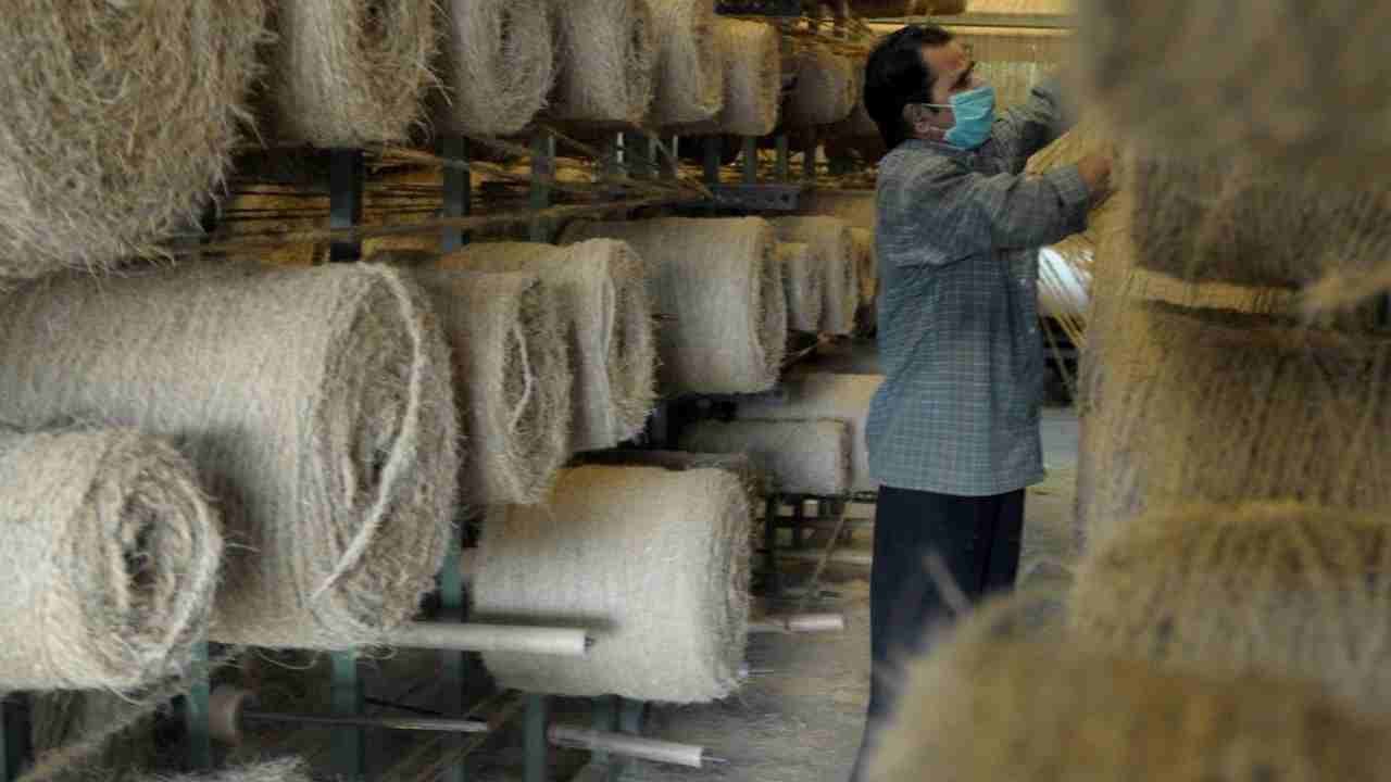 Coir Exports Surge 305%: Shocking Growth Skyrockets Industry
