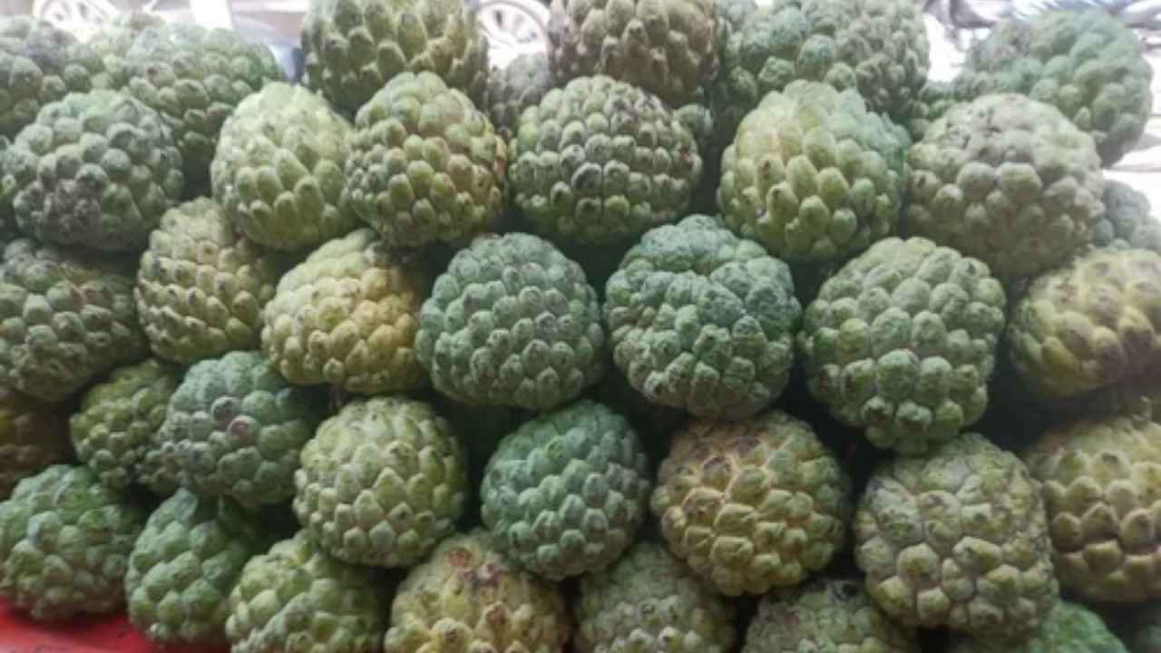 Custard Apple Prices in Hyderabad Rise to Rs. 50