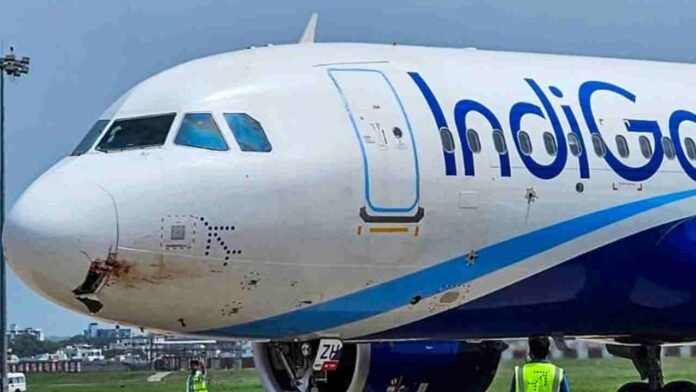 Indigo Flight Lands Safely At Shamshabad After Bird Strike